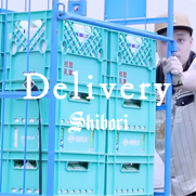 Delivery 2011 Shibori