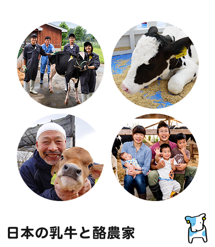 日本の乳牛と酪農家